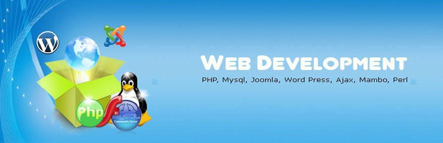 Web Application Development Company in Mirpur Dhaka Bangladesh